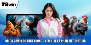Đá Gà 78WIN Có Thật Không - Xem Live Là Phân Biệt Thật Giả