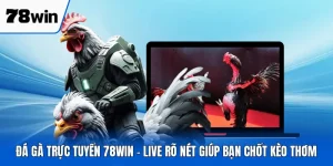 Đá Gà Trực Tuyến 78WIN - Live Rõ Nét Giúp Bạn Chốt Kèo Thơm
