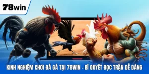 Kinh Nghiệm Chơi Đá Gà Tại 78WIN - Bí Quyết Đọc Trận Dễ Dàng